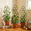 Soporte Plastico para Plantas Trepadoras