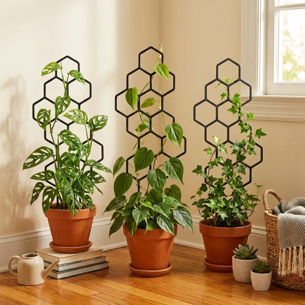 Soporte Plastico para Plantas Trepadoras