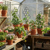 Soporte Plastico para Plantas Trepadoras