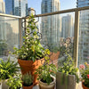 Soporte Plastico para Plantas Trepadoras