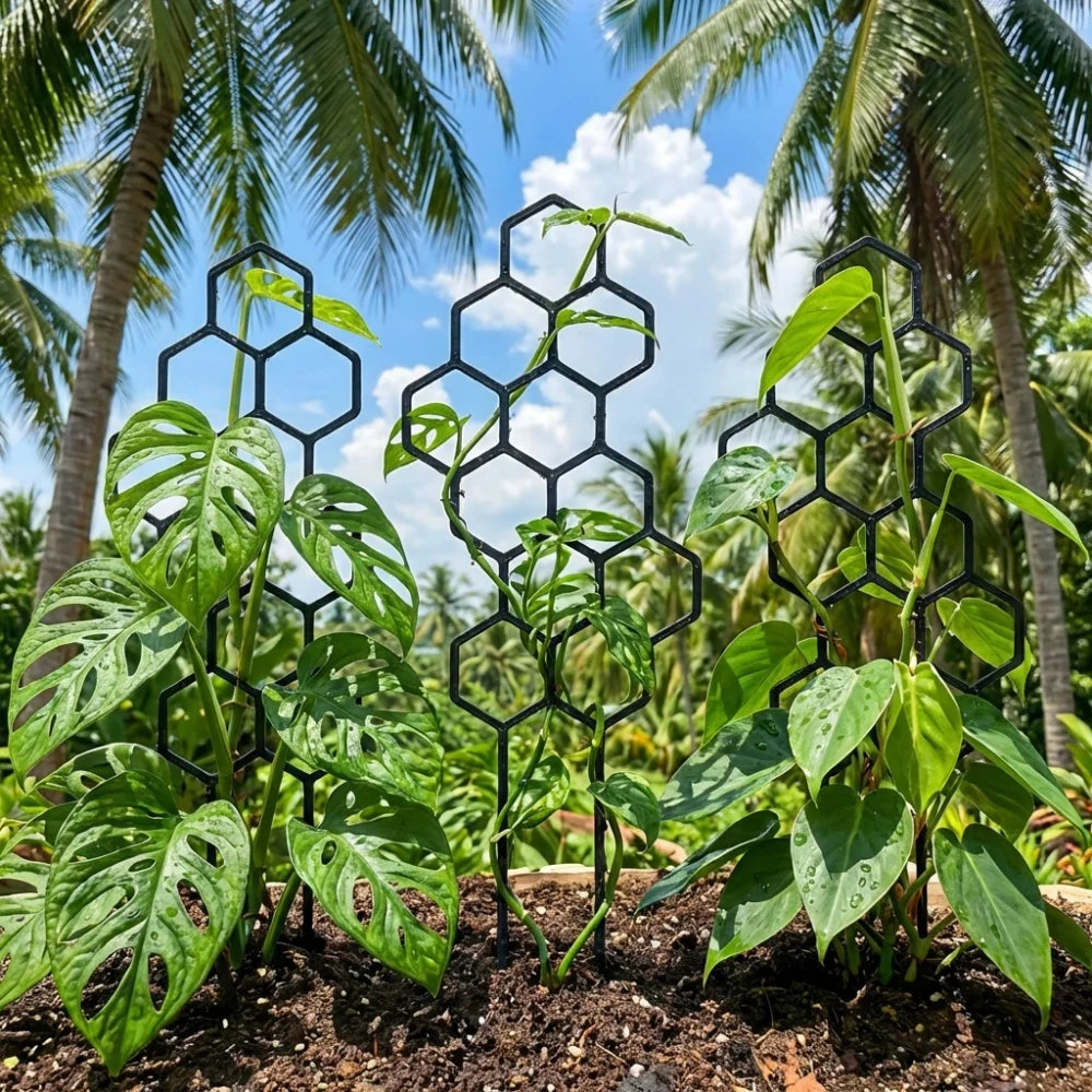 Soporte Plastico para Plantas Trepadoras