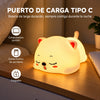 Luz de gatito