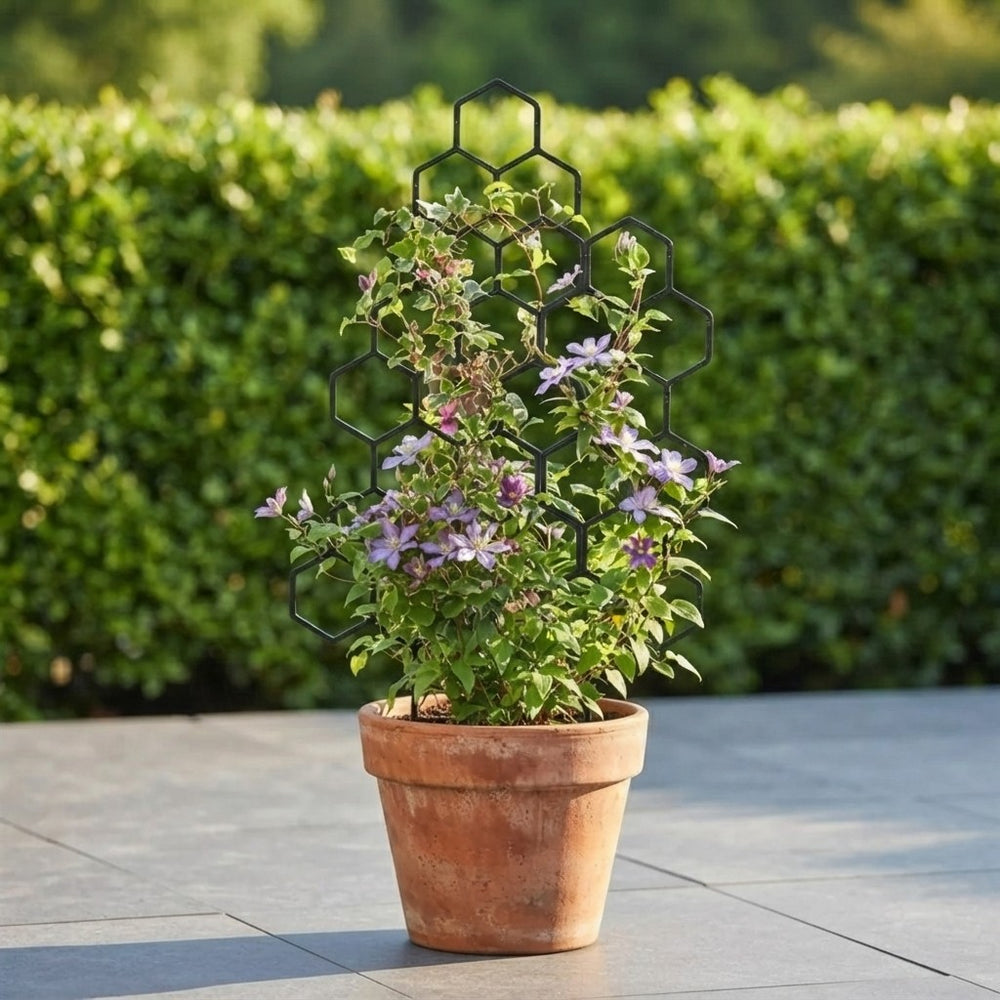Soporte Plastico para Plantas Trepadoras